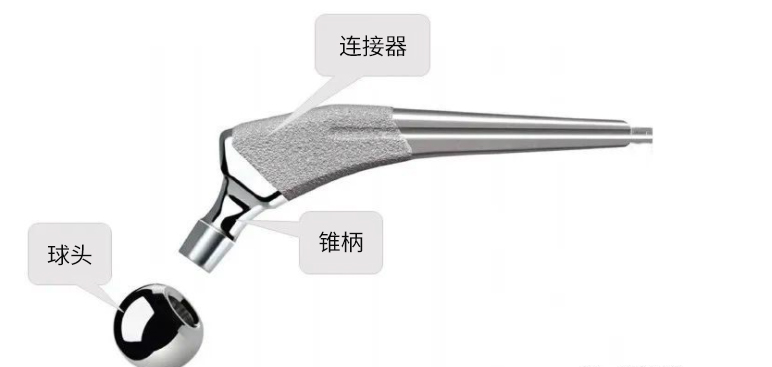 三坐測(cè)量機(jī)如何實(shí)現(xiàn)股骨球頭高效測(cè)量(圖1) 三坐測(cè)量機(jī)如何實(shí)現(xiàn)股骨球頭高效測(cè)量(圖1)